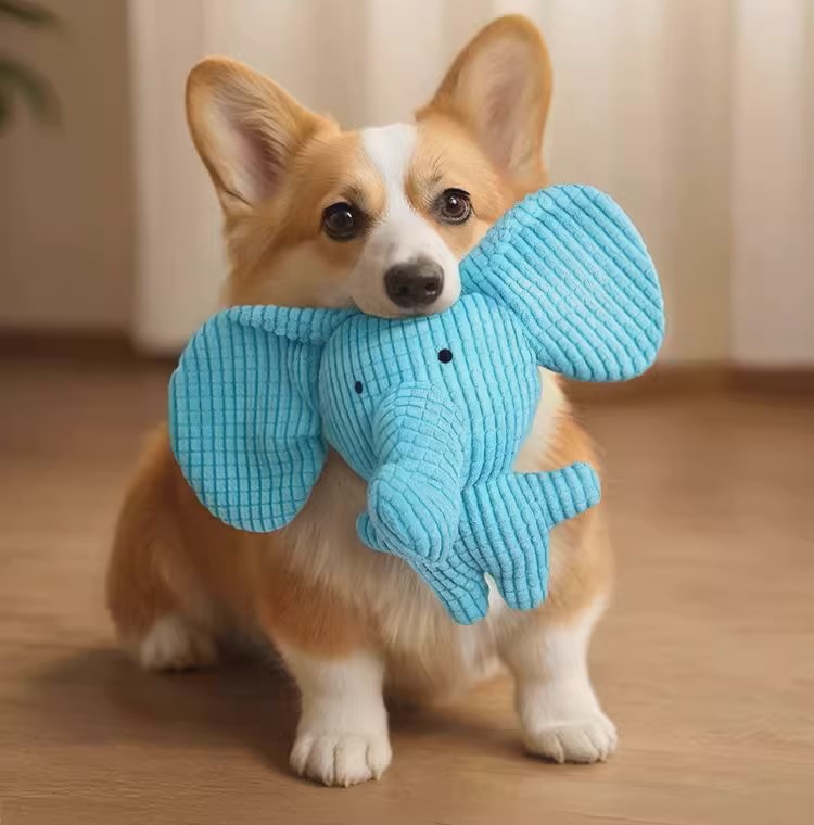 Dog Squeaker Elephant Toy Eco-Friendly Plush Chew Toy Durable Washable Dental Cleaning Interactive Fun Indoor Outdoor Play 
